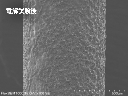 電解試験後写真