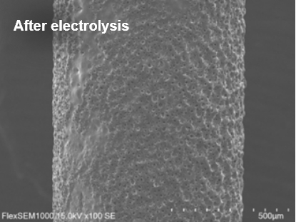 After electrolysis photo