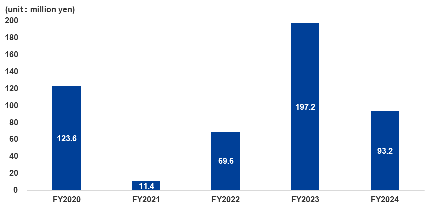 Capital Expenditure Img